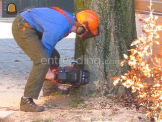 Man met Motorzaag Omgeving Winterswijk