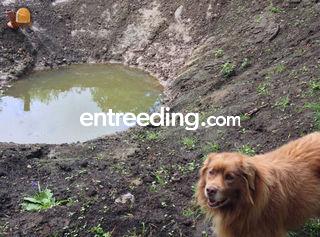 aanleggen van vijvers, gr... Omgeving Aalst