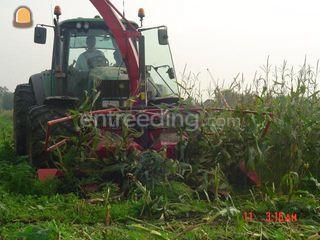 Pz-Quadro Omgeving Sliedrecht