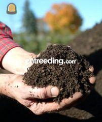 (blad) compost Omgeving Hilversum