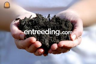 Groencompost Omgeving Hilversum