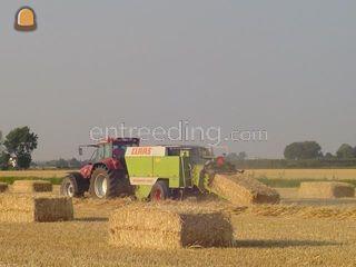 Claas 1200 grootpakpers Omgeving Goes