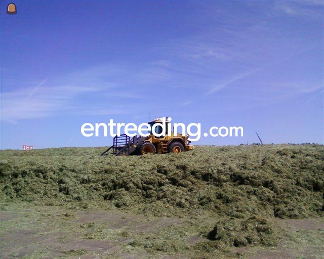 Shovel met dubbellucht en grasvork