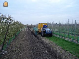 trekker+schelpen/compostw... Omgeving Hoorn