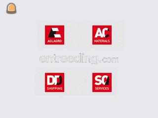 Square Group uit Wondelgem