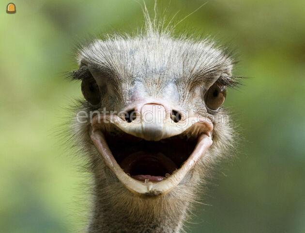 Wegenbouw Bruggenbouw Spoorwegwerken