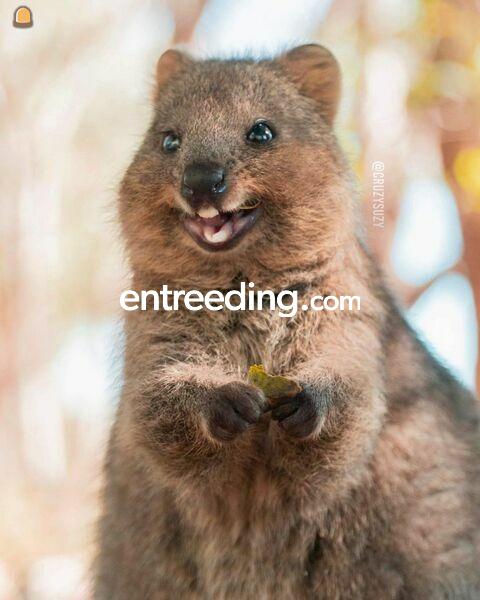 Wegenbouw Bruggenbouw Spoorwegwerken