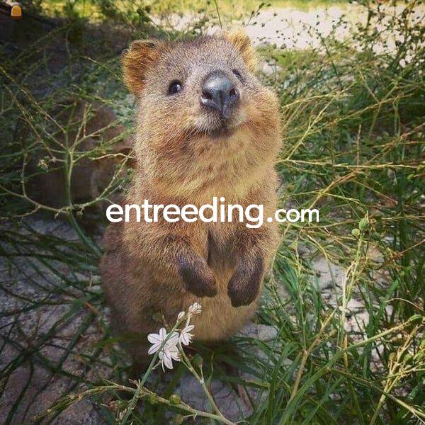 Wegenbouw Bruggenbouw Spoorwegwerken