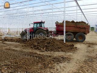 Fendt + Beco (5 x) Omgeving Gouda