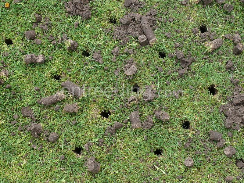 Fendt 211v Vario met verti-drain