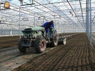 Fendt 209 Vab Omgeving Gouda