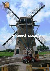 Shibaura + frees  Omgeving Gouda