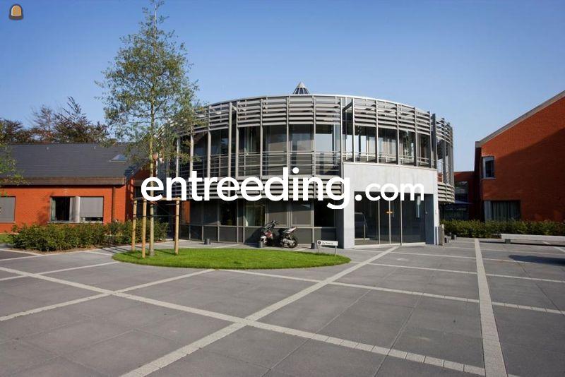 Betontegels Megategels