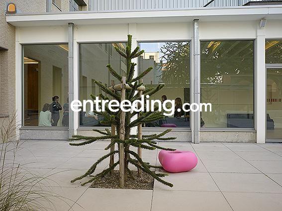 Betontegels Megategels