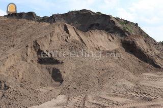 Zeefgrond/Teelaarde 0.20 ... Omgeving Breda