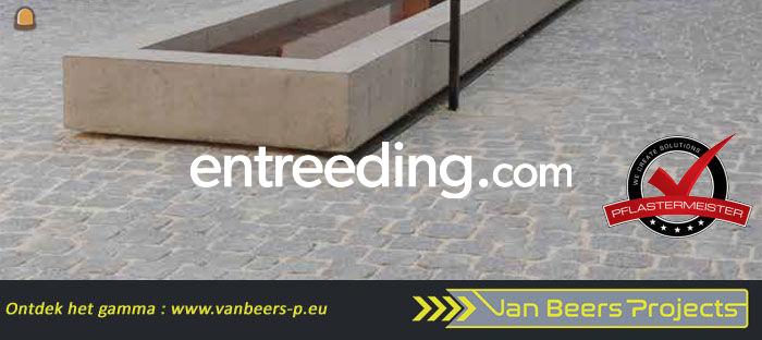 Pflastermeister Voegmortel SPEED