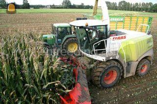 Claas Hakselaar Omgeving Land van Cuijk