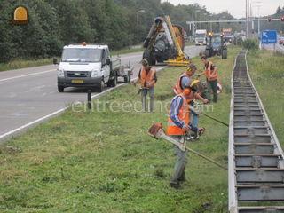 bijmaaiers Omgeving Vianen