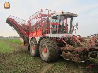 Bietenrooier Vervaet Omgeving Bergen op Zoom