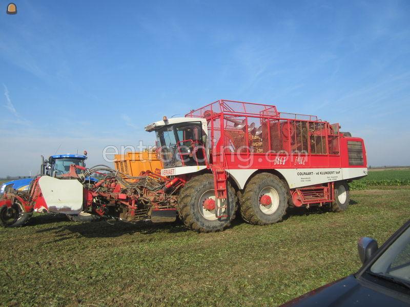 Bietenrooier Vervaet