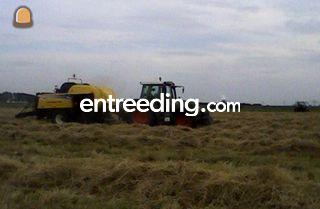 New Holland Balenpers Omgeving Bergen op Zoom
