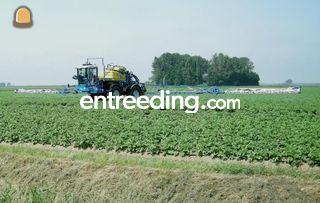 Delvano zelfrijdende land... Omgeving Voorne-Putten