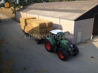 Fendt + platte wagen Omgeving Voorne-Putten