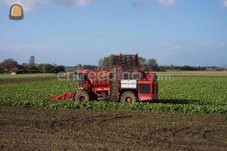 Holmer Terrados Omgeving Voorne-Putten