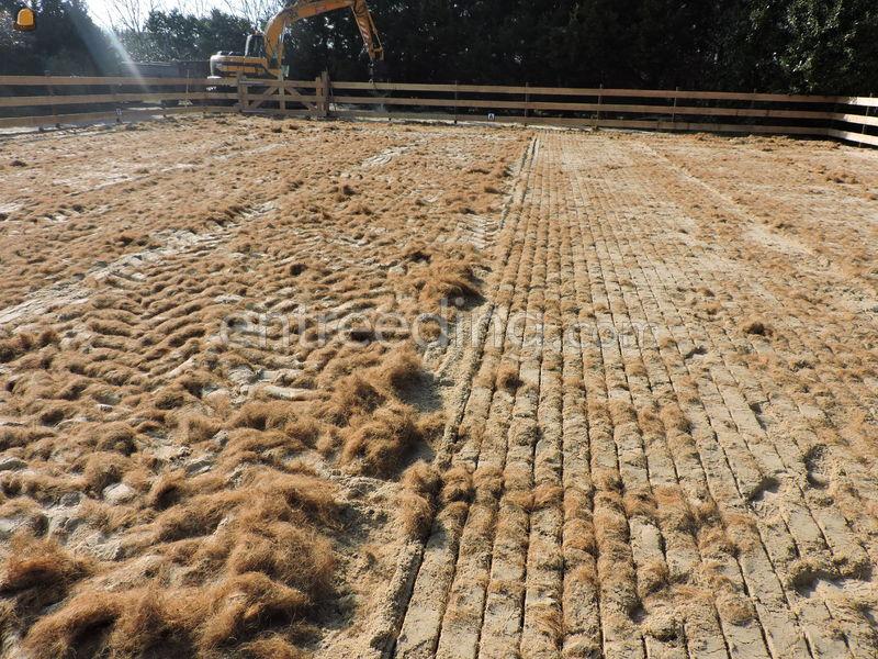 Bodems voor paarden bakken.