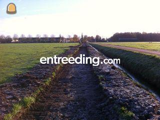 Wandelpad Nederhorst den ... Omgeving Hilversum
