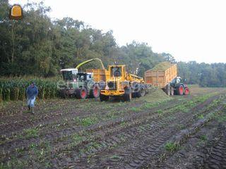 De hakselploeg in de mais Omgeving Hilversum