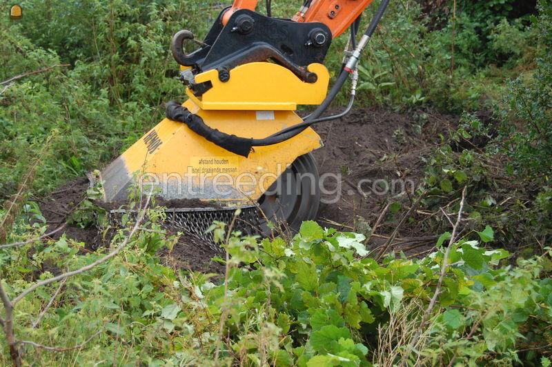 Stobbenfrees aan Kraan