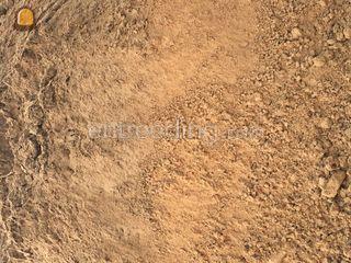 Gele Grond Omgeving Bergen op Zoom