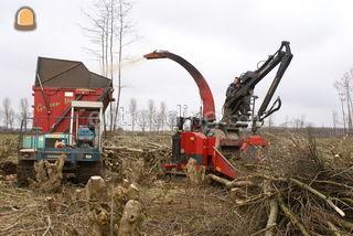 Rupsversnipperaar Greente... Omgeving Utrecht