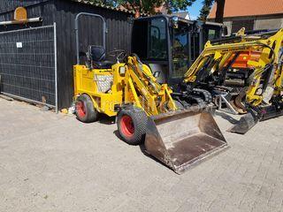 Knikmops 100 Omgeving Goeree-Overflakkee