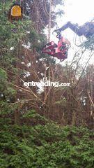 airman 5ton met boomknipp... Omgeving Brugge