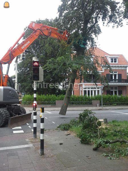 Hitachi 160 met groeneveld bomenklem+zaag