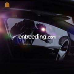 Antidiefstalsystemen voor... Omgeving Antwerpen