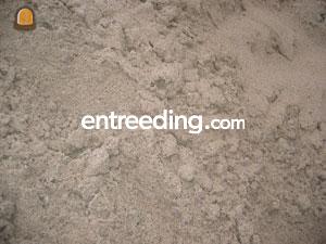 Metselzand Omgeving Goeree-Overflakkee