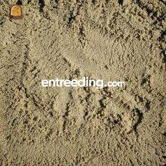 Tankenzand Omgeving Goeree-Overflakkee