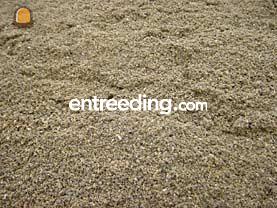 Brekerzand Omgeving Goeree-Overflakkee