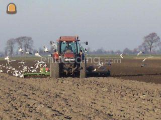 Celli 6.0 m  Omgeving Purmerend