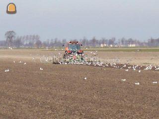 Newholl-celli 6.0 m Omgeving Purmerend