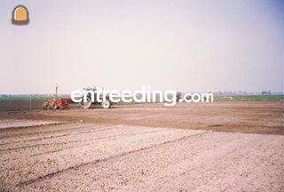 Mekos kilverbak 4m Omgeving Purmerend