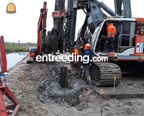 beschoeiingswerken, damwa... Omgeving Roeselare