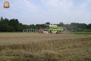 Claas Dominator 98 Omgeving Tiel