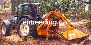 diversen Omgeving Den Haag