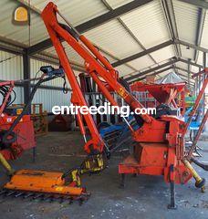 Takkenschaar aan arm Omgeving Kempen