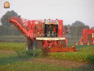 Vervaet 17 T Omgeving Tholen