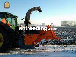 Van Daele Houtversnippera... Omgeving Tholen